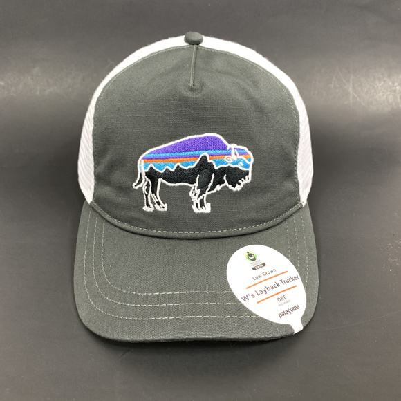 patagonia women's fitz roy bison layback trucker hat